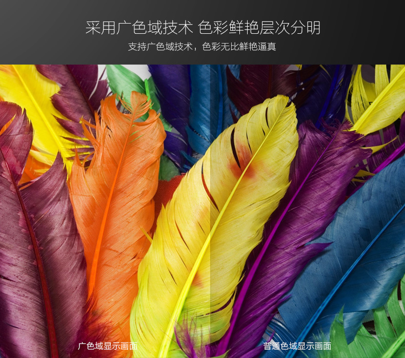 開博爾